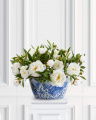 Peony Potted Plant White