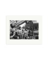 Peter Frampton & Security 1977 Print Only / Medium