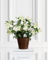 Christmas Rose Artificial Plant White