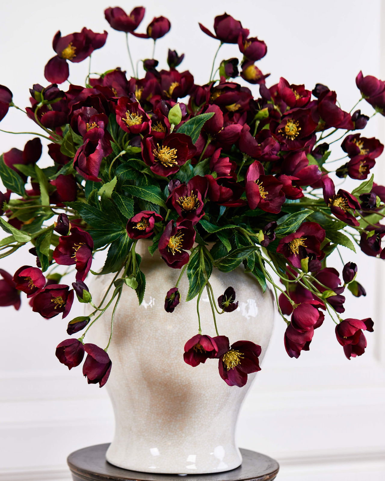 Christmas Rose Cut Flower Burgundy