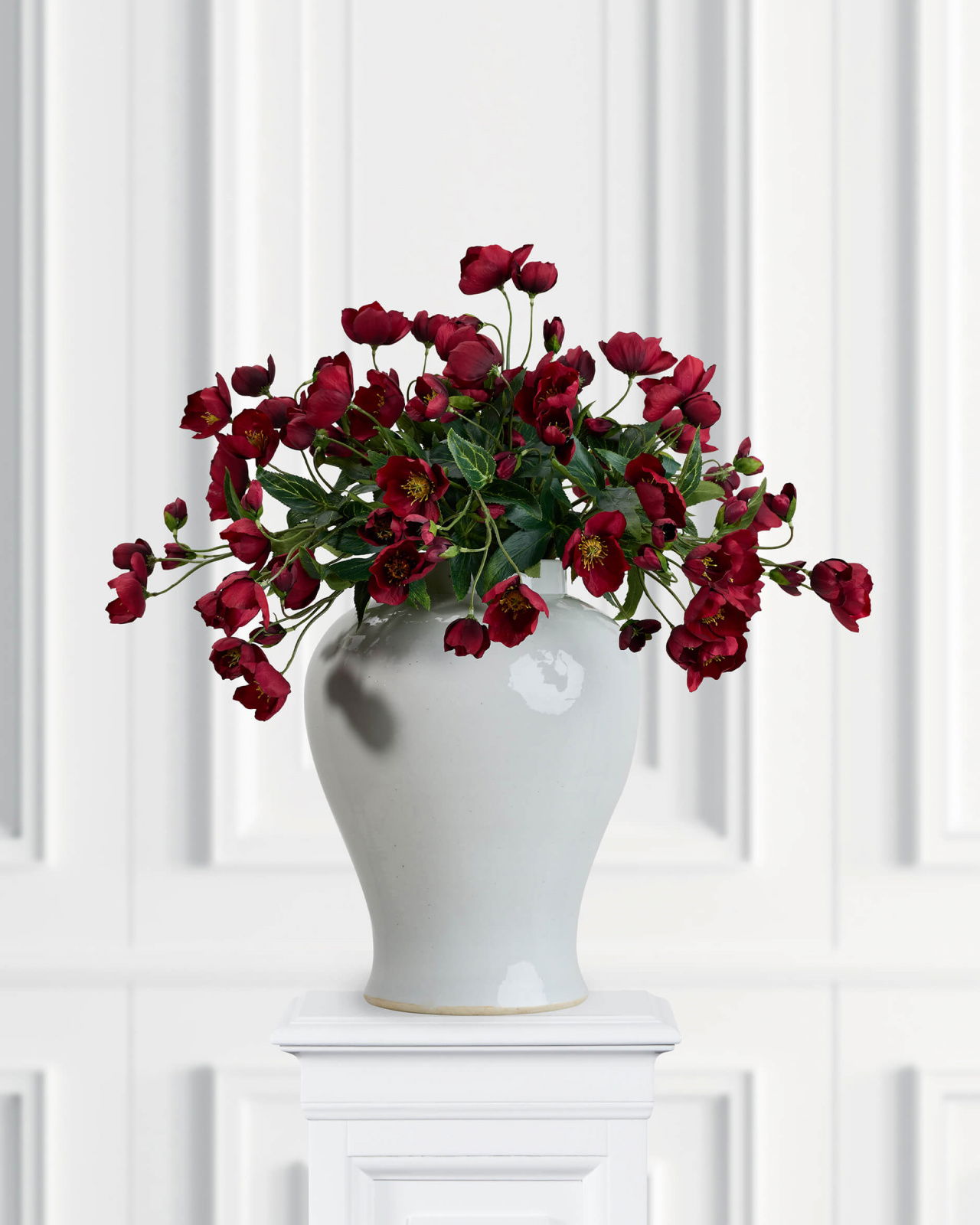 Christmas Rose Cut Flower Red