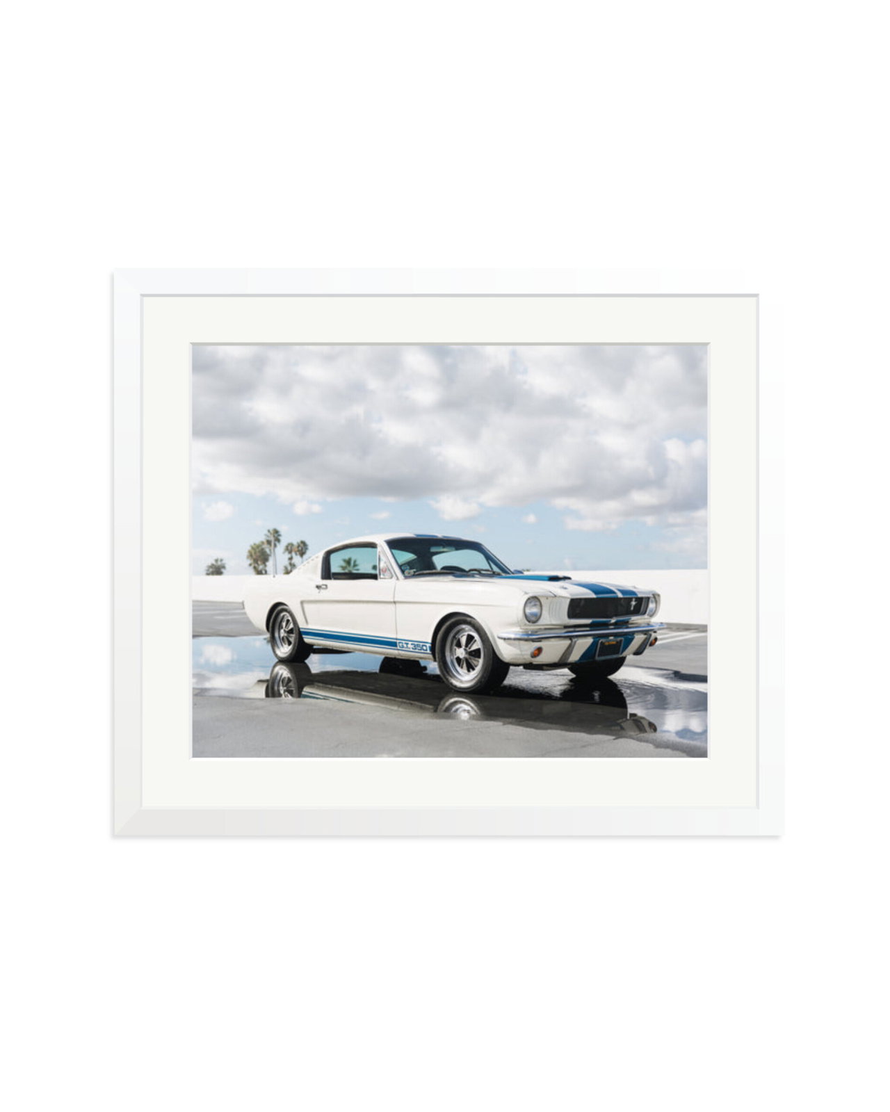 Ford Mustang Shelby GT350 White / Large