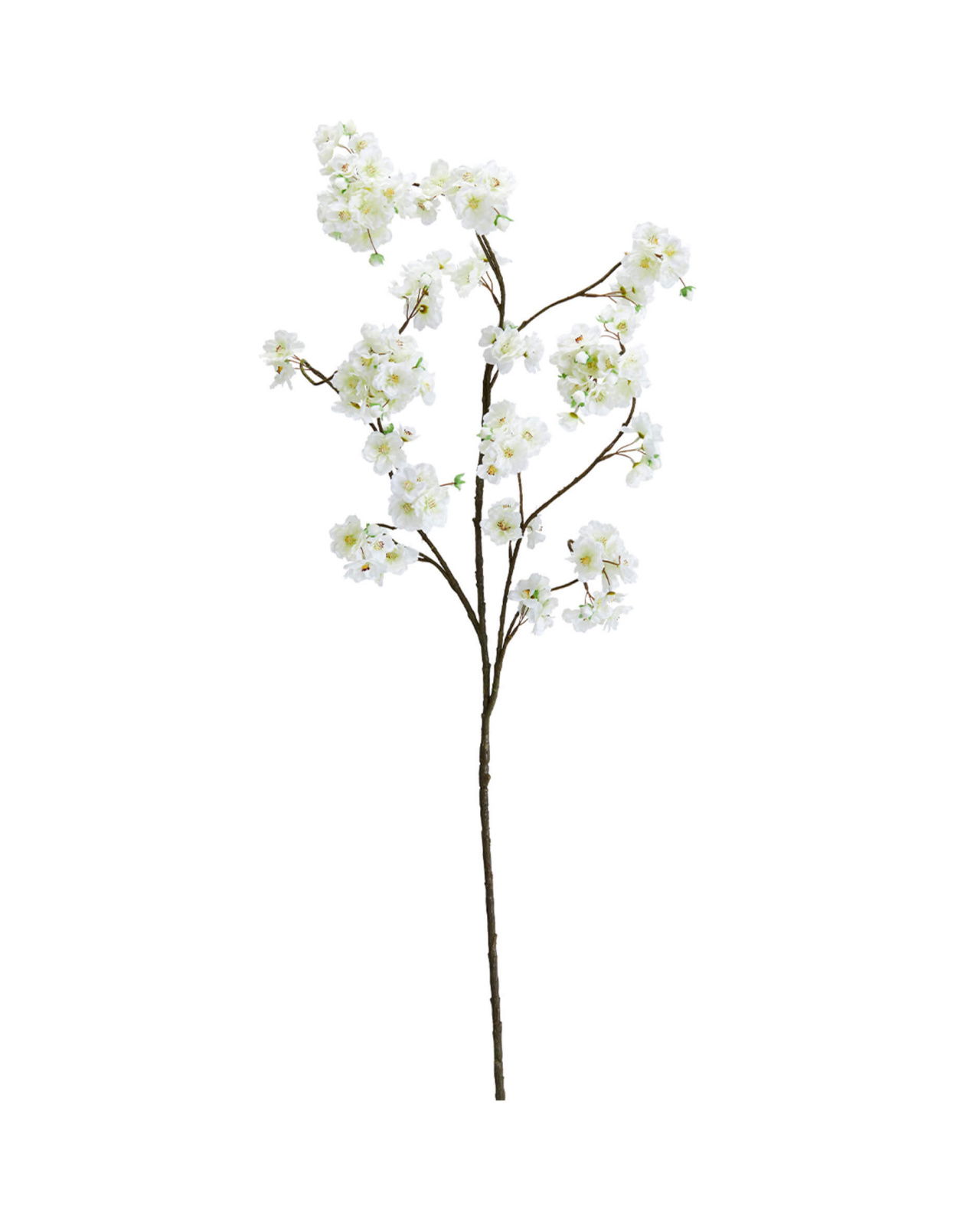 Cherry Branch White