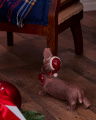 Bruno Dog Christmas Decoration