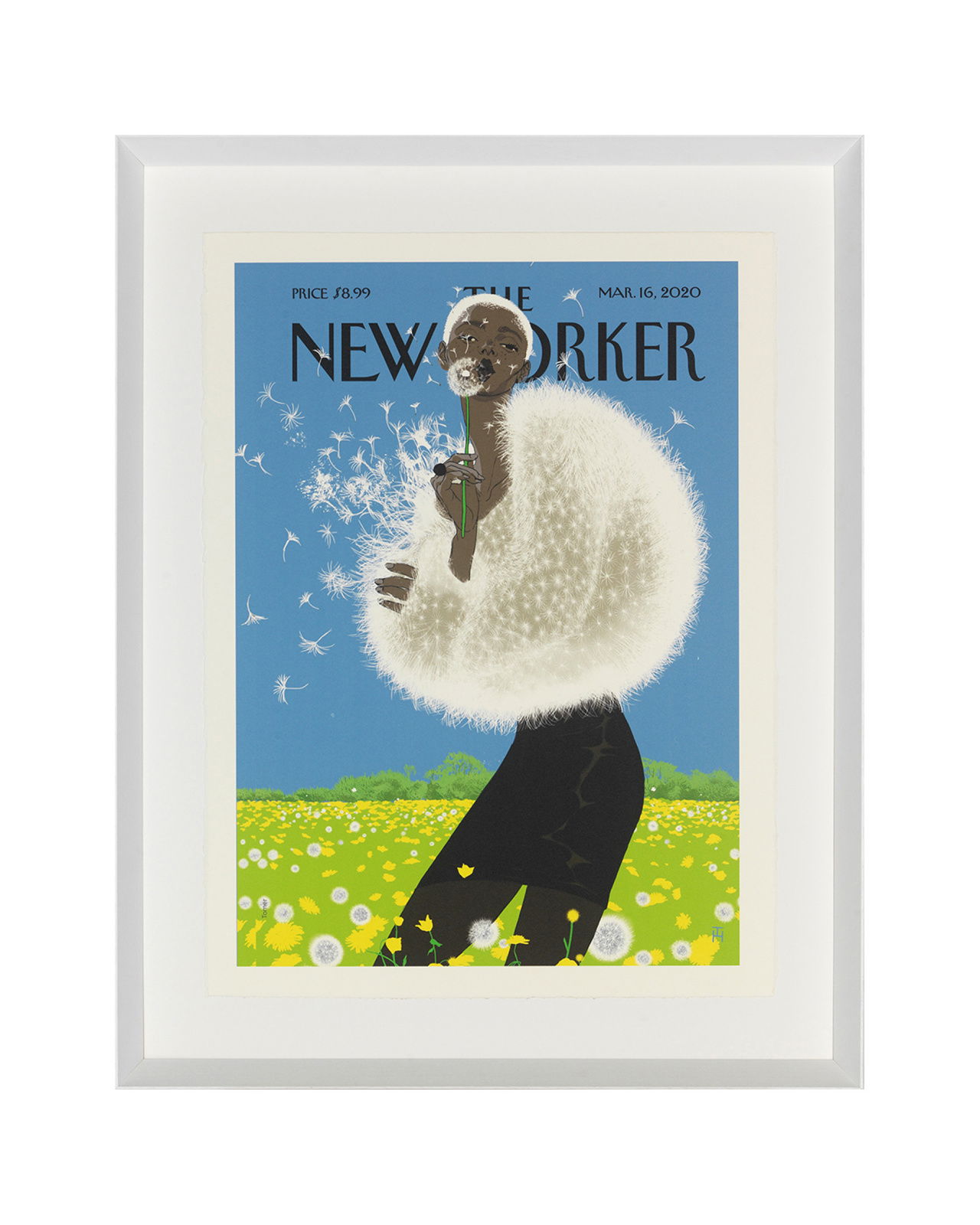 The New Yorker Tomer