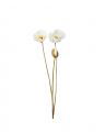 Poppy cut flower white OUTLET