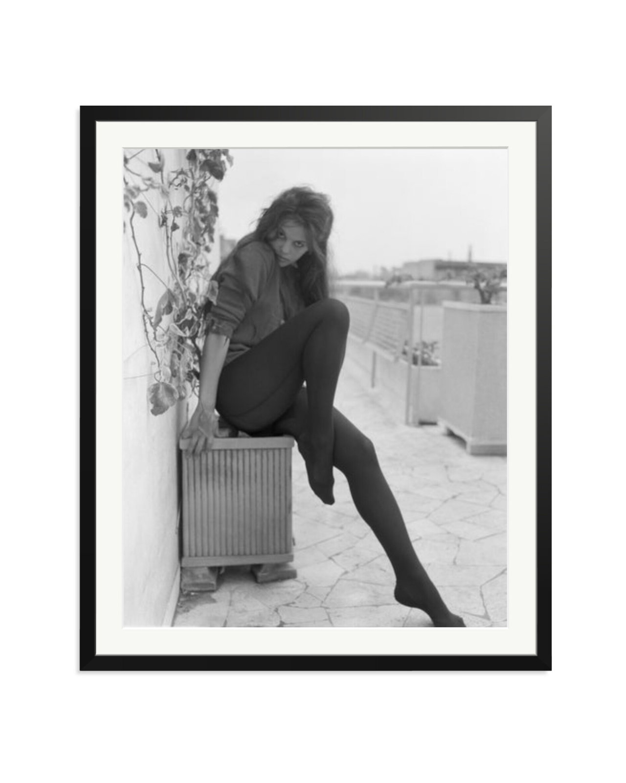 Cardinale Posing in Rome Black / XXL