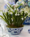 Snowdrop Potted Plant White