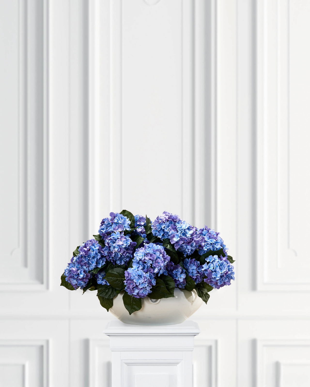 Hydrangea Potted Plant Blue