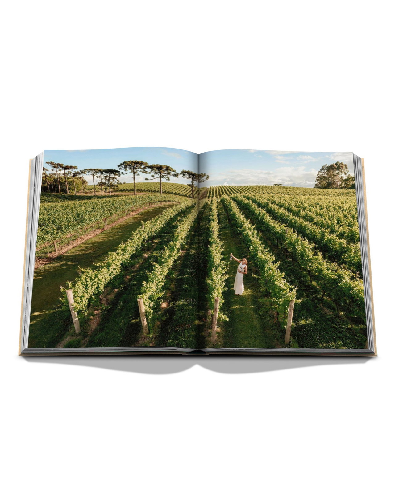 Wine & Travel Latin America