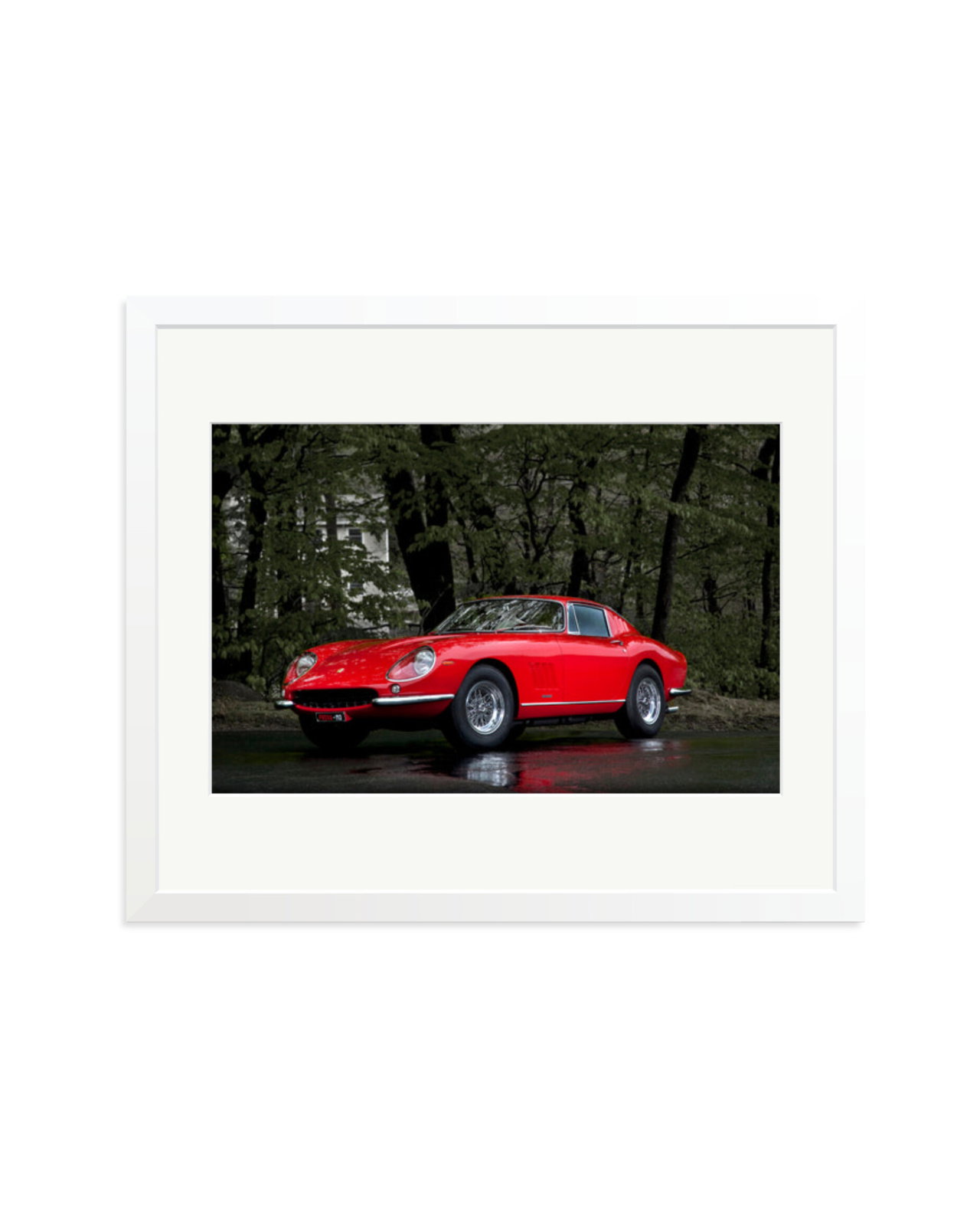 1967 Ferrari White / Large