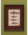 Linden art print, fish