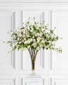 Climbing Rose Cut Flower White