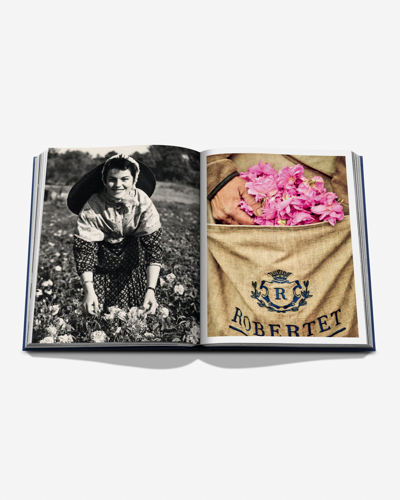 Robertet: From Seed to Scent