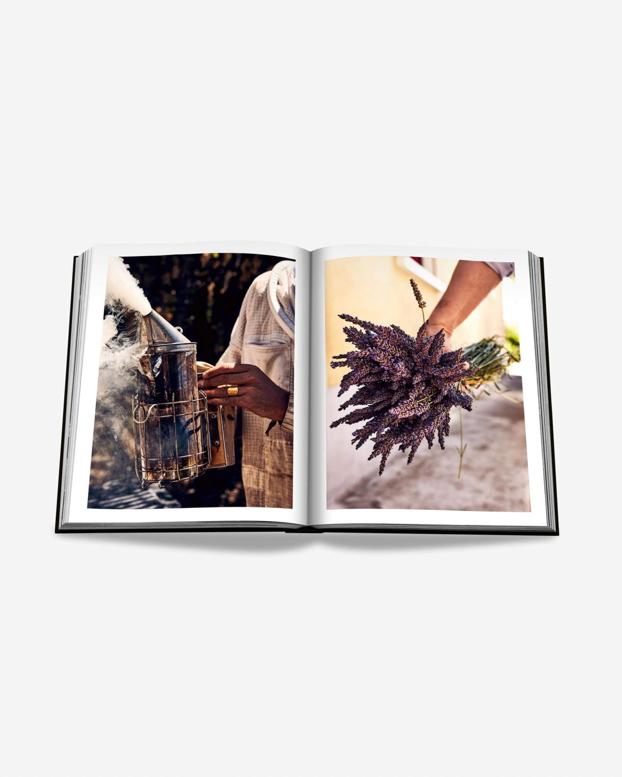 Louis Vuitton Manufactures