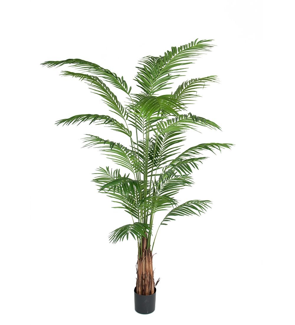 Areca Palm konstväxt grön