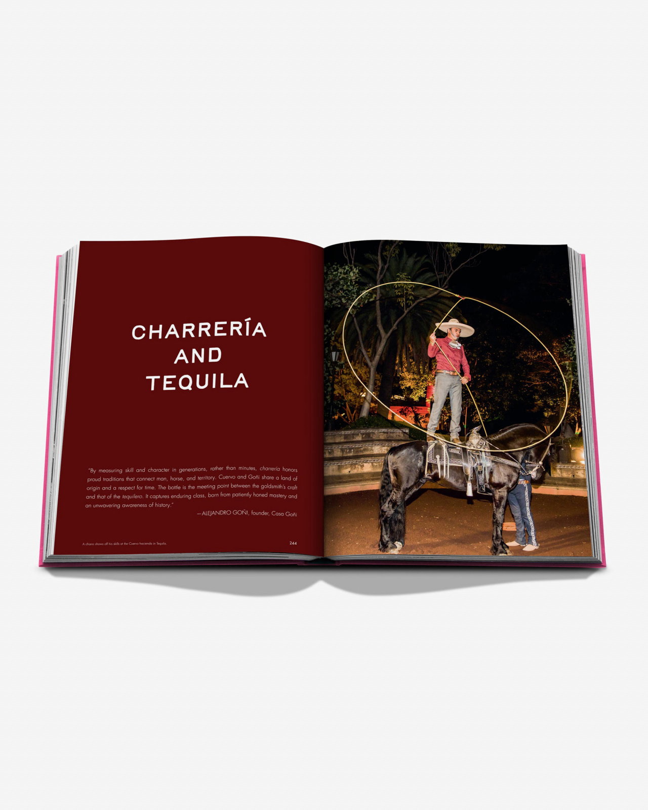 The Art of Tequila, Spirit of Mexico