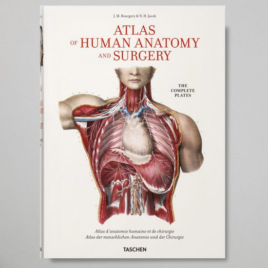ATLAS OF HUMAN ANATOMY AND SURGERY 洋書　解剖 Atlas of Human Anatomi XL - Newport