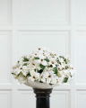 Christmas Star Bouquet White