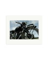 Vincent Black Shadow Print Only / Medium
