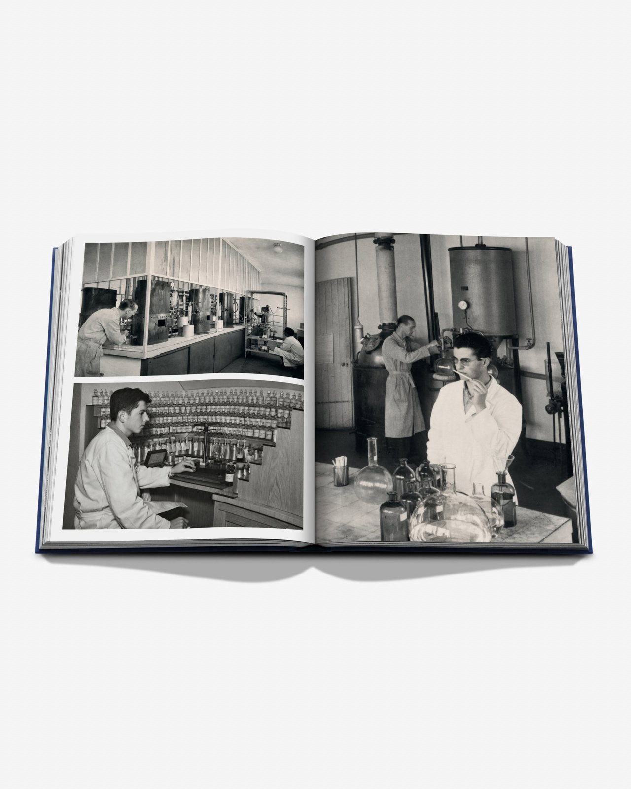 Robertet: From Seed to Scent