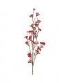 Charlotte Berry Twig Red