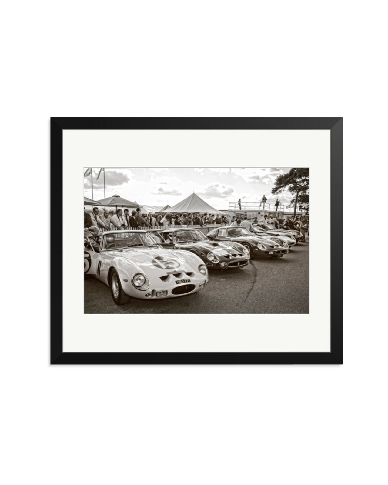 Goodwood Revival Ferarri 250 GTO's Black / Large