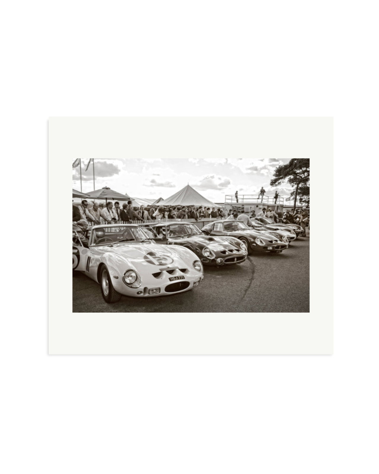 Goodwood Revival Ferarri 250 GTO's Print Only / Large
