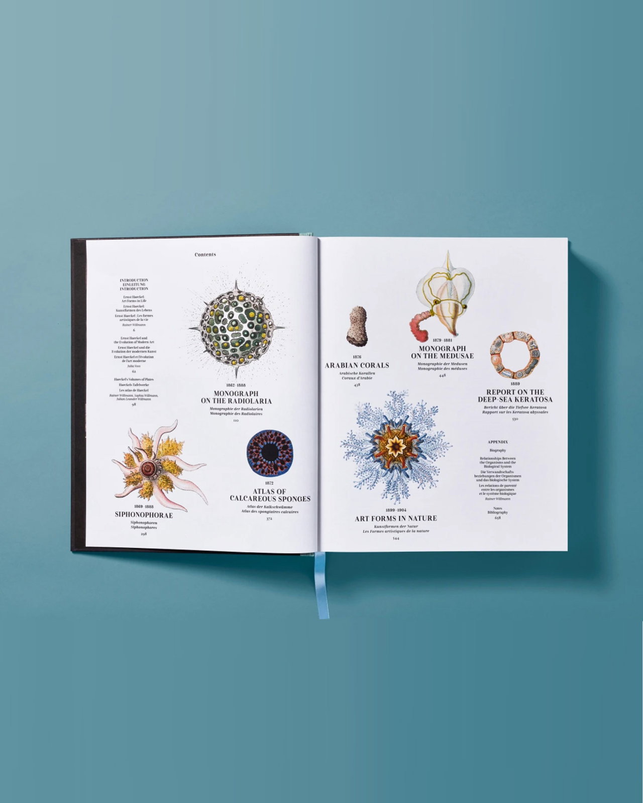 The Art and Science of Ernst Haeckel
