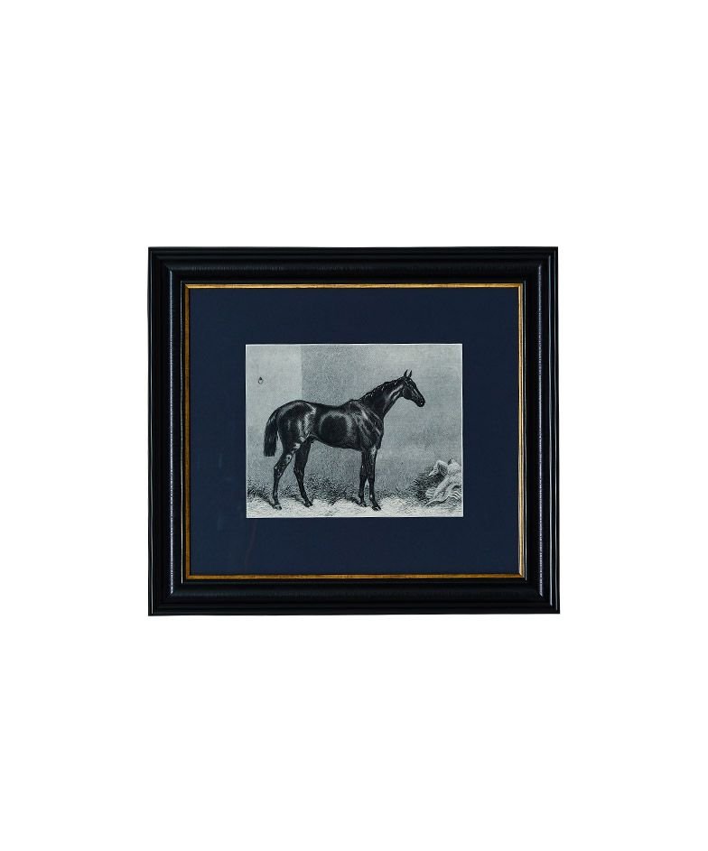 Carmel Horse painting 35x40