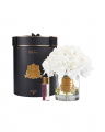 Grand Bouquet cadeauset goud