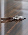 Shrimp Butter Knife Pewter