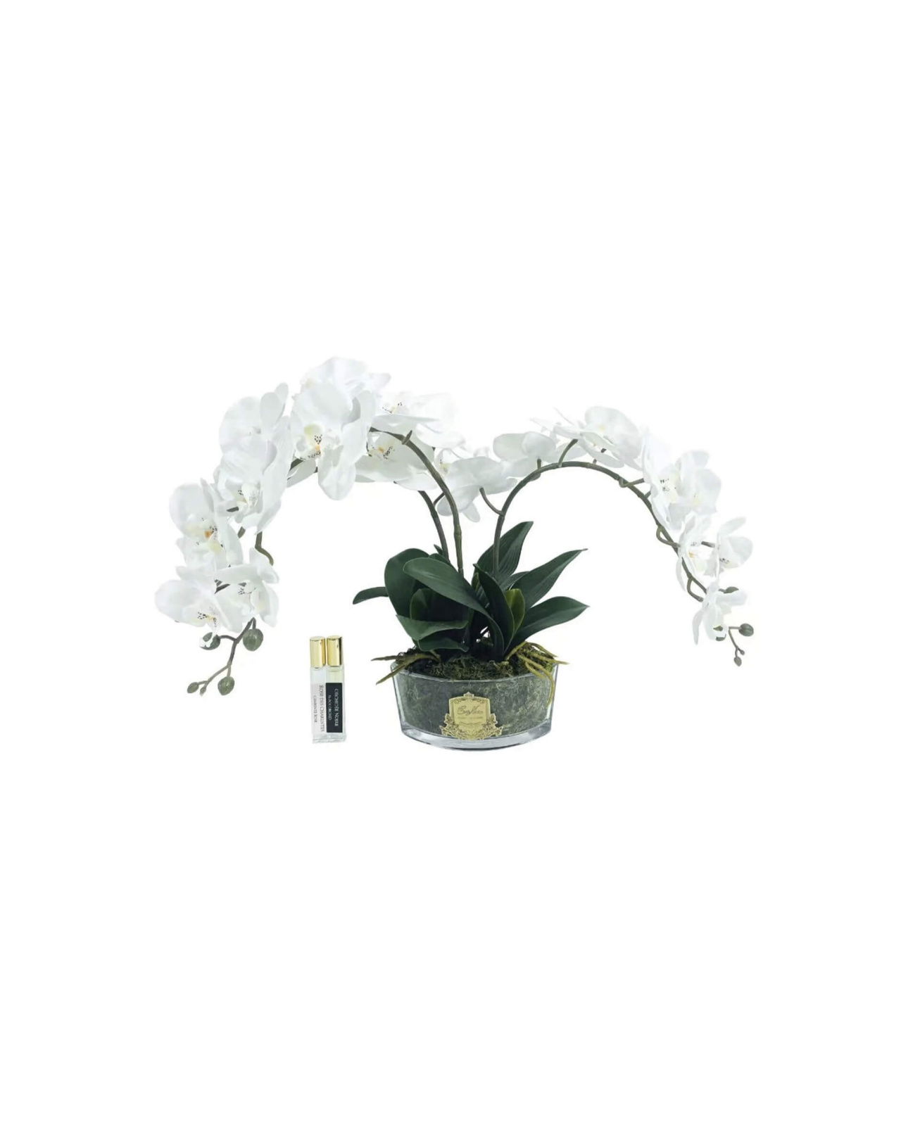 Orchidée Classique Gift Set