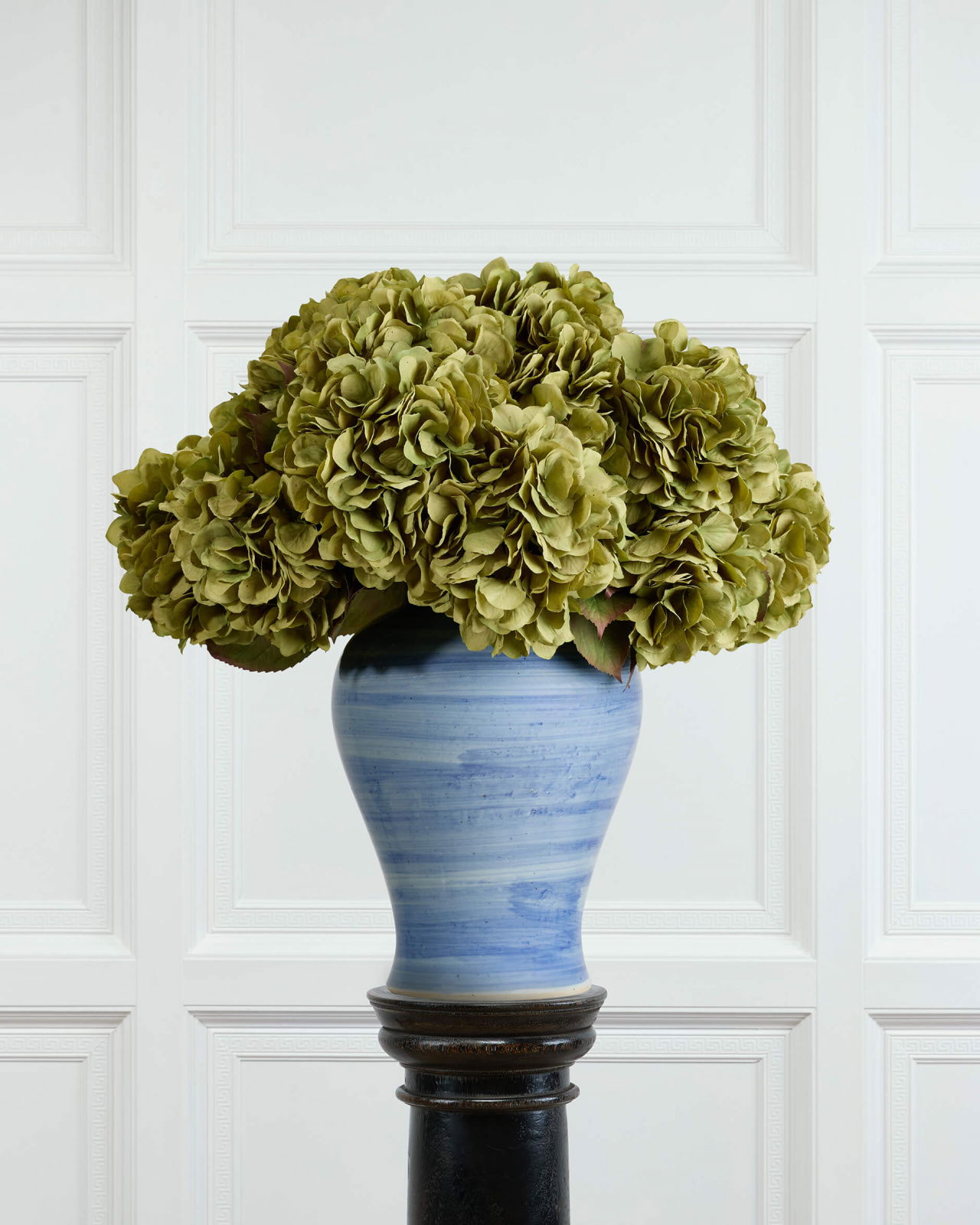 Hortensia snittblomma grön