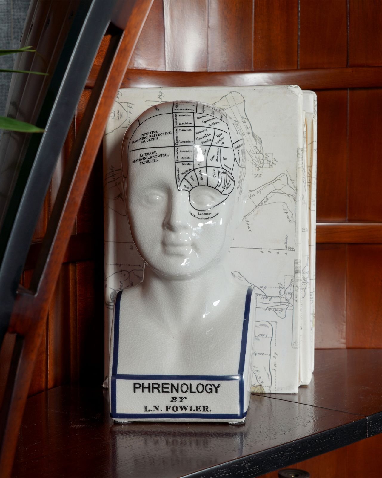 Phrenology Head decoration