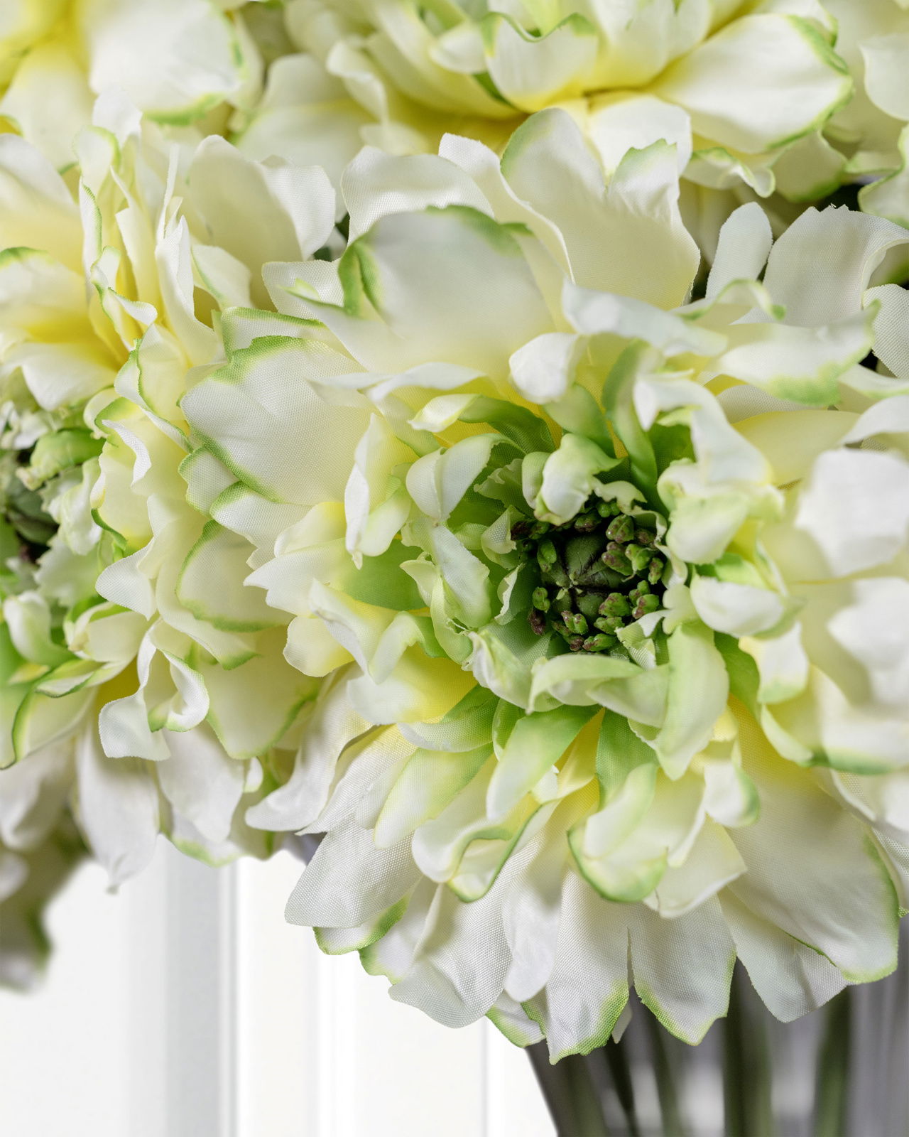 Ranunkel snittblomma grön