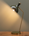 Olive desk lamp