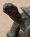 Halston turtle decoration