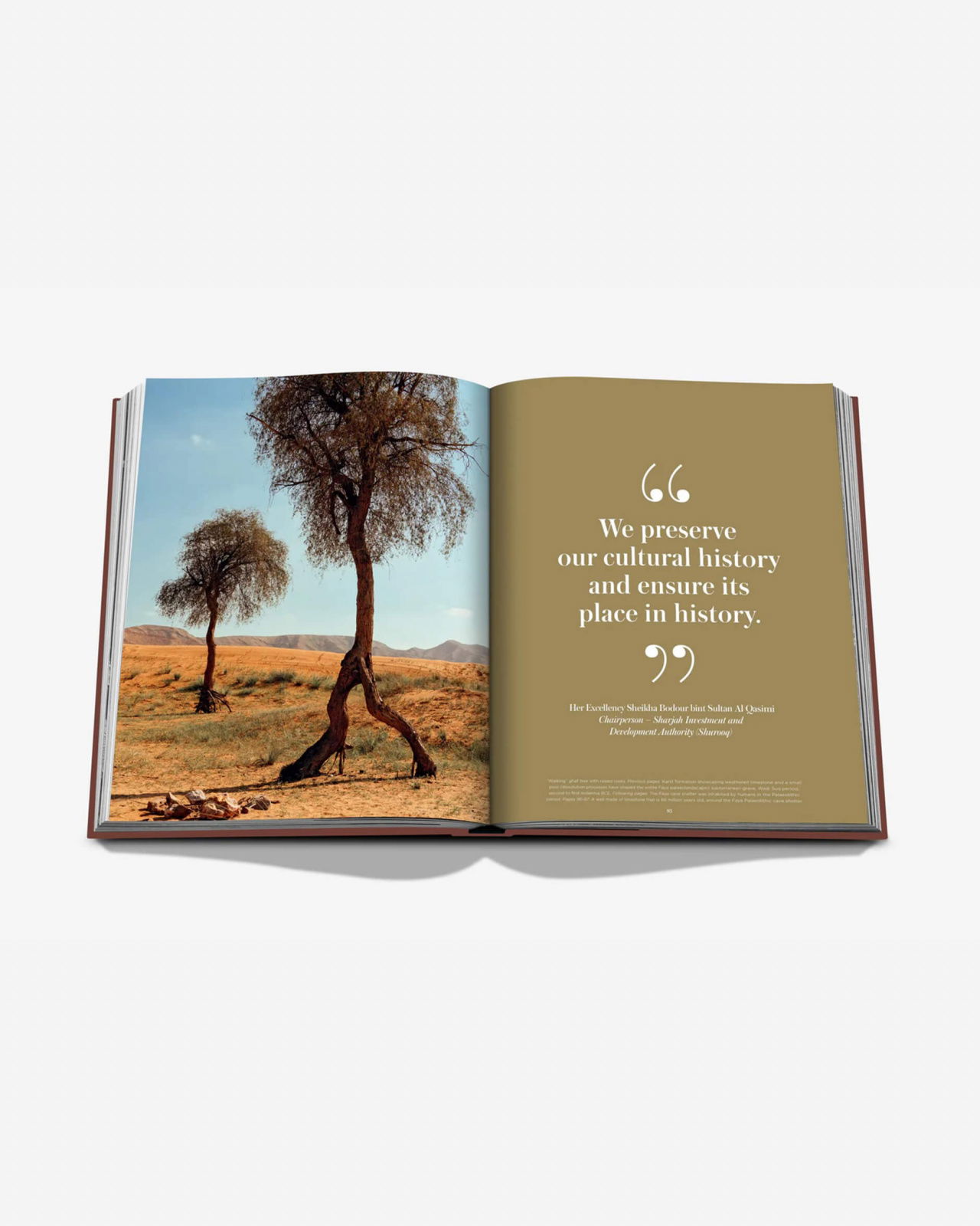 Mleiha, Ancient Treasures of the UAE