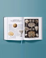 The Art and Science of Ernst Haeckel