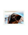 1967 Dino 206 GT Print Only / XXL