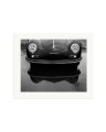 Porsche 356 Nose Print Only / Large