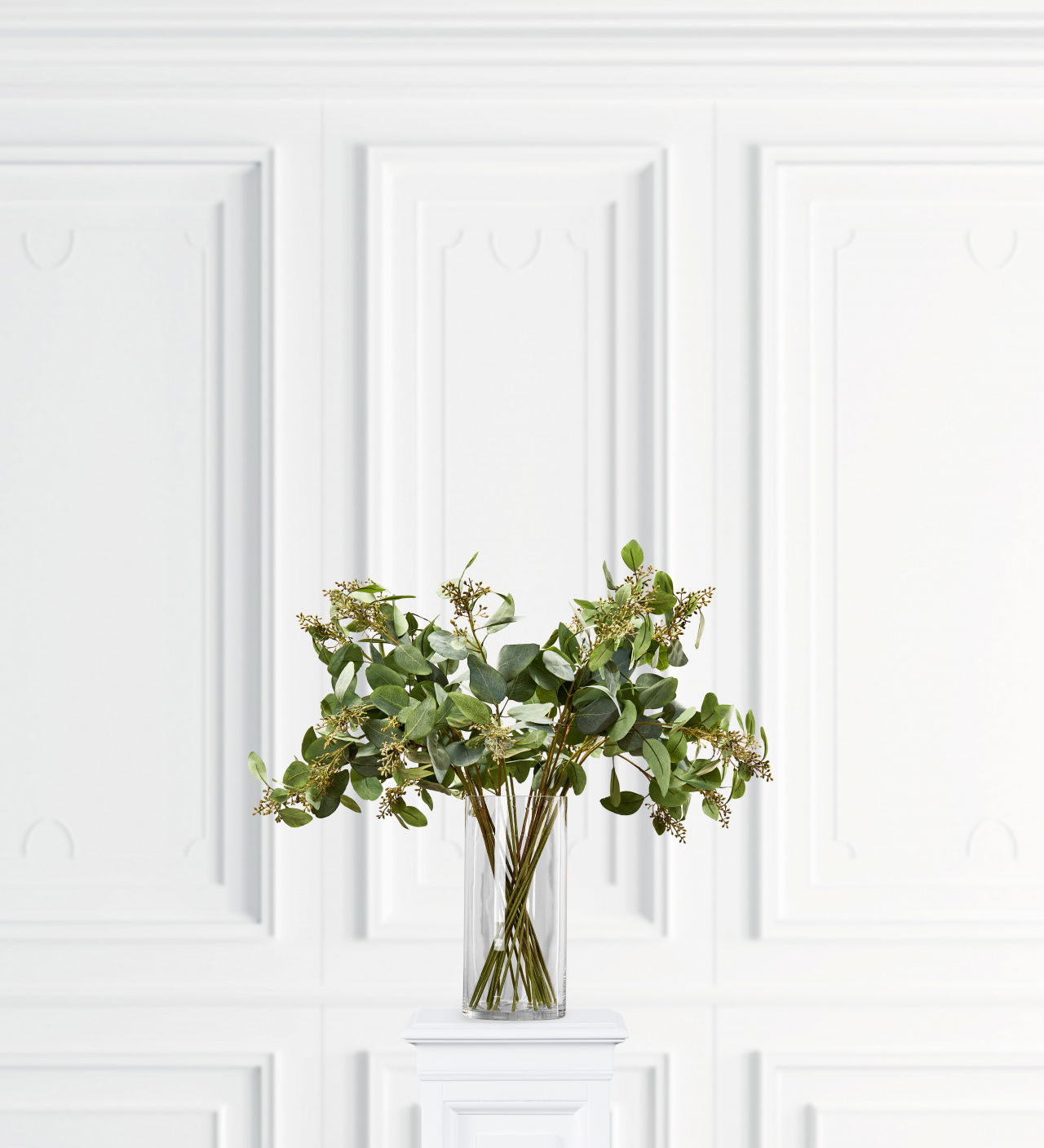 Eukalyptus Schnittblume