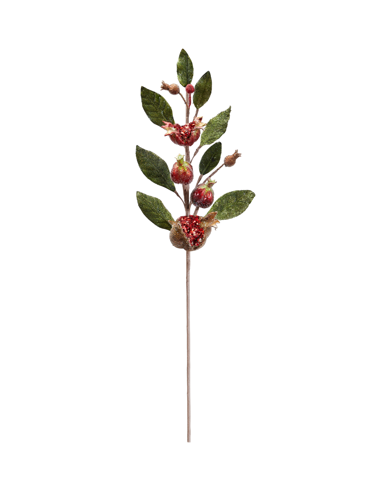 Pomegranate decorative sprig