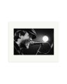 Tom Waits at the Cleveland Agora Club Print Only / Medium