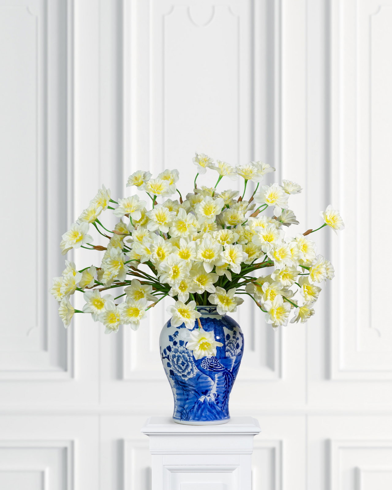 Narciss snittblomma ljusgul