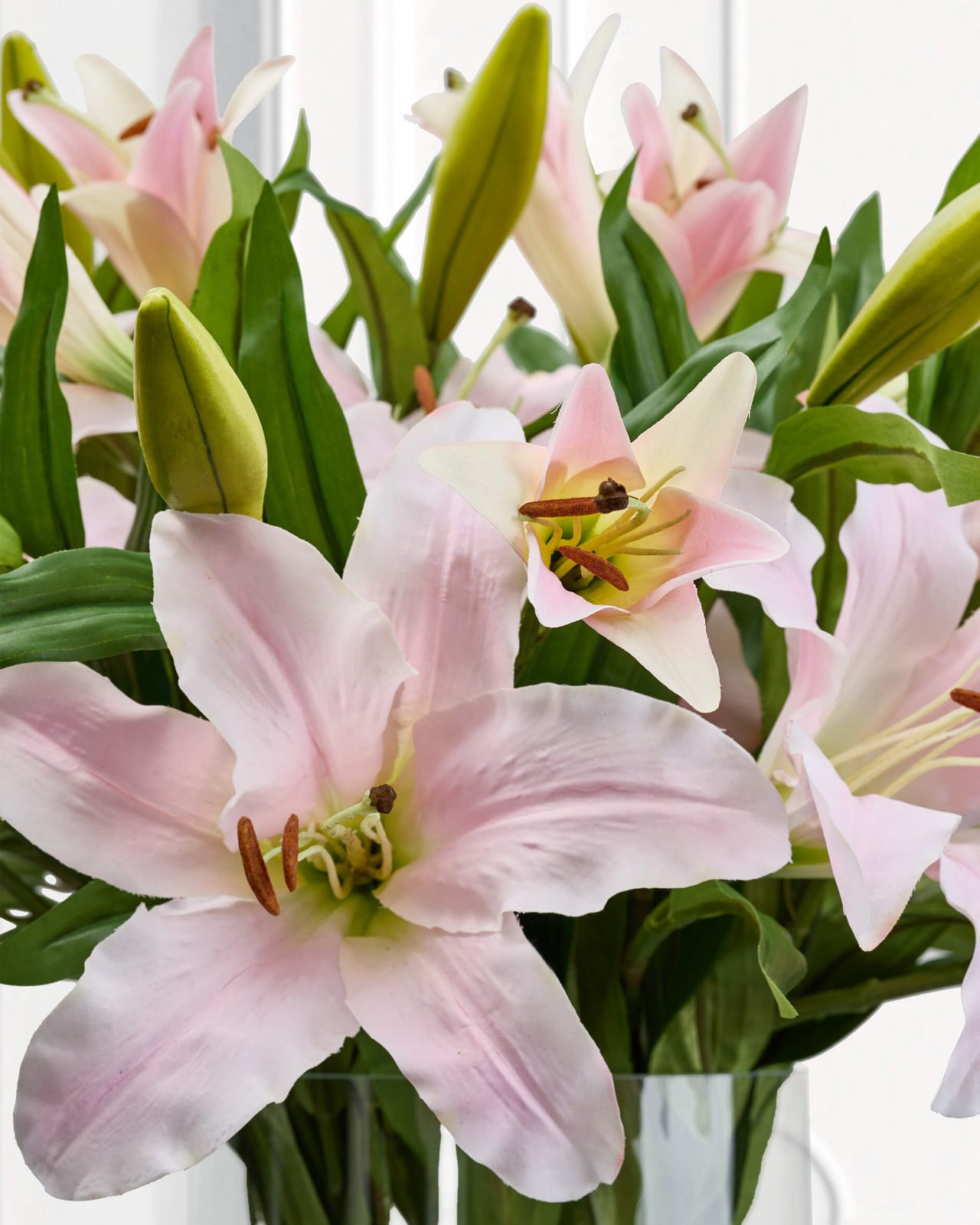 Lilje – afskåret blomst i hvid/lyserød