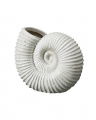 Shell vase white
