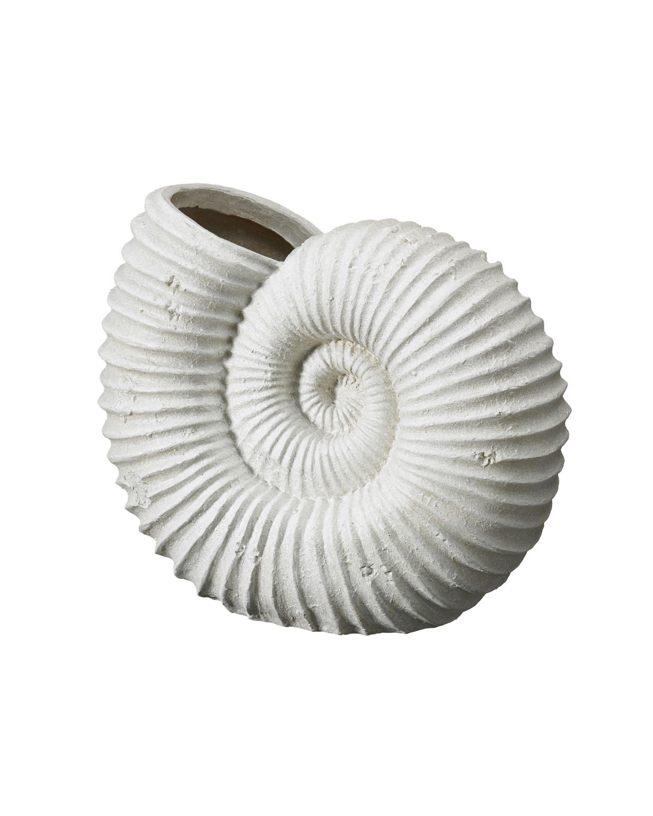 Shell vase white