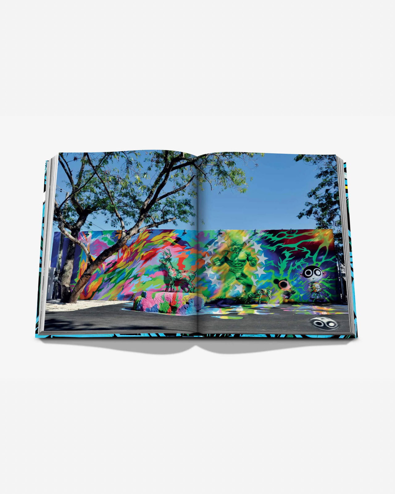 Street Art Icons: The Story of Wynwood Walls